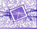 2005/07/19/purple_dragonfly1.jpg
