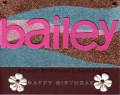 2006/08/03/Bailey-Glitter-web_by_Inky_Button.jpg