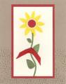 2006/09/06/yellow_and_red_flower_simple_by_janetwmarks.jpg