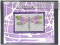 2005/05/05/Rubber_Cement_Dragonfly_Card.jpg