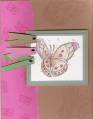 2005/05/14/Pink_Brown_Butterfly_1.jpg