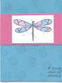 2005/08/08/Pink_and_Turquiose_dragonfly_card_by_Jenngirl.jpg