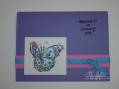 2007/02/06/pearl-ex-butterfly_by_traceystamps.jpg