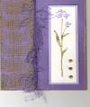 2006/01/27/Purple-Flower-Card_by_breeze7.jpg