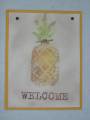 2005/12/07/Pineapple_welcome1_by_Amy_Collins.JPG