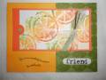 2006/04/22/Expressionistic_Citrus_Fruits_by_Chriserendipity.JPG
