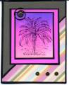 palm_8_by_