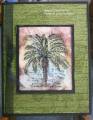 2006/07/15/LSN_Cracked_Palm_by_LSN.jpg