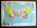2010/03/26/Deluxe_Iris-Folded_Butterfly_by_Jody_M_10-02_by_Carol_.jpg