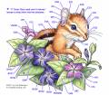 2011/03/03/chipmunk-coloring-guide-1_by_Crafts.jpg