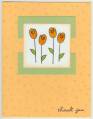 2006/07/31/apricot_tulips_by_alliohran.jpg