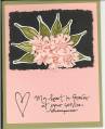 2006/04/17/Sage_Advice_Prima_Carnations_by_Linda_L_Bien.jpg