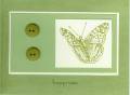 2005/08/02/green_butterfly.JPG