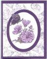 2005/11/26/On_Gossamer_Wings_eggplant_flowers_iced_butterfly_by_not2old2stamp.jpg