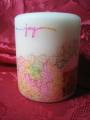 2006/06/03/Friendship_Candle_view_4_by_pinkysdc77.jpg