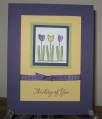 2008/02/28/Eggplant_tulips_by_Taylor-made.jpg