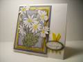 2008/01/28/Daisies_by_knightrone.jpg