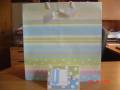 2006/04/24/Mother_s_Day_bag_card_by_Basket_Lady.jpg