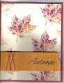 2005/09/26/Autumn_baby_wipes_by_justampin.jpg