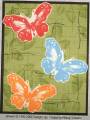 2006/06/03/060306_mms_butterfly_dance_by_lacyquilter.jpg