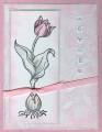 2006/03/07/Mother_s_Day_Tulip_by_Rox_by_Rox71.jpg