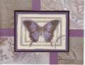 2006/09/04/butterfly_by_Karen_Stamps_.jpg