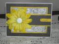 2008/01/31/Gray_and_Yellow_Friend_Flower_by_cindy501.JPG