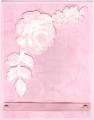 Pink_Roses