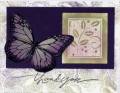 2005/09/24/butterfly_thankyou_mgj_by_kmjenkyns.JPG