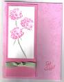 2006/07/25/Get_Well_in_Pink_by_Iluvcards.jpg