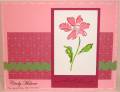 2008/12/27/Cards_051_by_discoverstampin.jpg