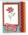 2010/12/19/Greeting_Cards_10391_by_MimiW.jpg