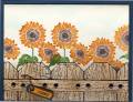 2006/08/21/cre_fenced_sunflowers037_by_Miss_Minx.jpg