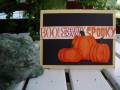 2007/09/06/punched_punkins_by_LeAnne_Pugliese.jpg