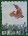 2008/11/16/Eagle_by_Chipchick.jpg