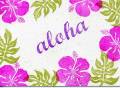 aloha_LSC2