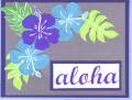 AlohaHibis