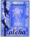 aloha-VSN-