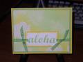 2006/05/29/Yellow_resist_aloha_by_Carol_Scheevel.JPG