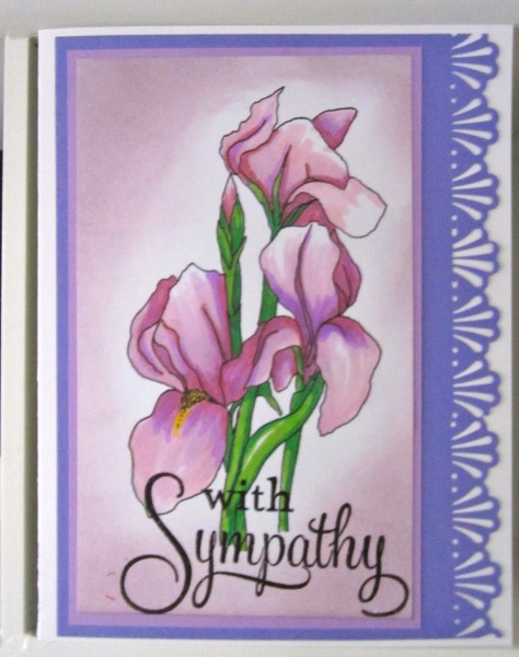 Sympathy Iris Card by Mjensen602 at Splitcoaststampers