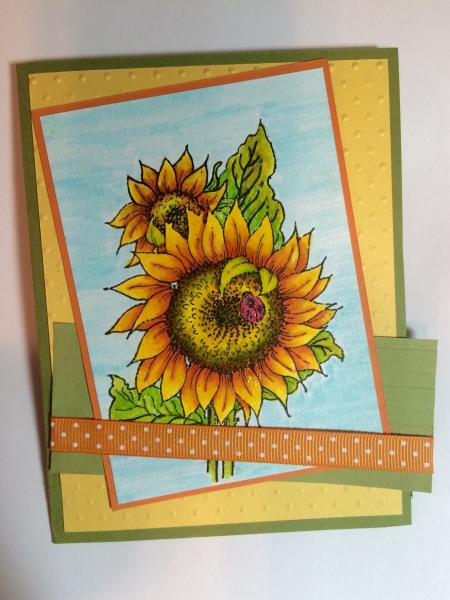 Sunflower Sunshine by kate4450 at Splitcoaststampers