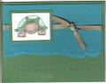 2005/04/28/turtle.jpg