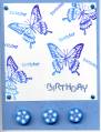 2005/06/25/BDay_Butterfly.jpg