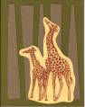 Giraffes-1