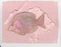 2005/09/04/Glitter_pink_fish_by_Chatty_Cathy_25.jpg