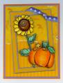 2005/09/12/Sunflower_and_Pumpkin_Card_by_itchingtoink.jpg