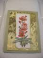 2005/09/22/Get_Well_Mary_5_by_XcessStamps.jpg