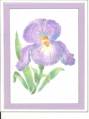 2005/10/26/165_Lavender_Orchard_Dry_Emboss_with_Chalks_by_Chatty_Cathy_25.jpg