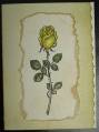 2005/10/31/Yellow_Rose_by_McStamper.jpg