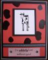 2005/11/11/Udderly_lost_cow_by_jkincolorado.JPG